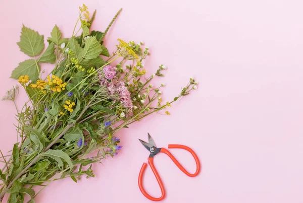 Bouquet of wildflowers and red garden scissors on a pink background with copy space