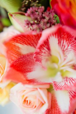 Parlak çiçekli büyük pembe hediye kutusu. Kırmızı ve sarı çiçekler, anneler günü için buket, sevgililer günü, doğum günü partisi ya da diğer tatiller için. Güllü buket, zambak, papatya ve şakayık..