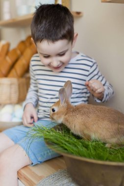 Paskalya süslemeleriyle donatılmış hafif bir mutfakta sevimli bir tavşanı olan beyaz bir çocuk.