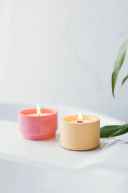 Beyaz banyonun iç tarafındaki bambu bitkisinin yanında küvette pembe ve turuncu soya mumları.