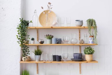 Mutfakta ahşap raflar, bulaşık takımları ve bitkiler beyaz bir duvar arkasında.