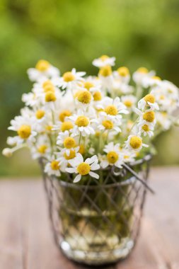 Vazoda bir buket papatya çiçeği.