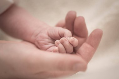 Familiar hands. Small baby hand in big hand of parent. 