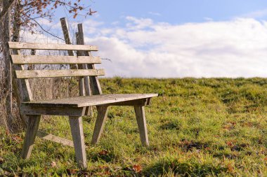 Yalnız bir çayırda tek bir bank