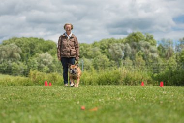 Avrupai bir buldogla eğlen ve spor eğitiminin tadını çıkar. Çalışırken parkın sahibi ve köpeği