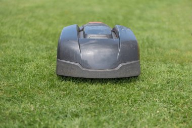 Çim biçme makinesi yeşil çimleri keser. Bahçede tek başına çalış - robot.
