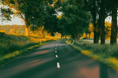 Sunset on the empty highway between the trees