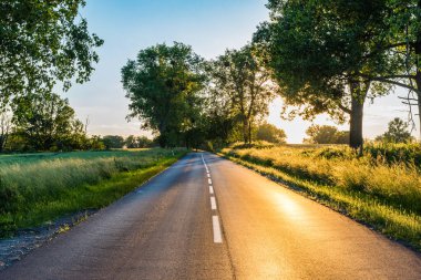 Sunset on the empty highway between the trees