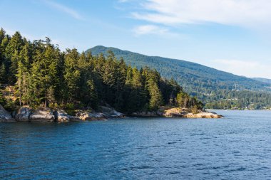 Vancouver bay with forests and ocean coast