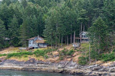 Canadian forest covering the island with old wooden buildings