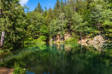 Yazın sıcak bir günde, gölün üzerindeki koyu yeşil orman.