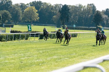 Wroclaw, Polonya - Sep 10, 2023 - Avrupa yarış pistinde genç atların mücadelesi