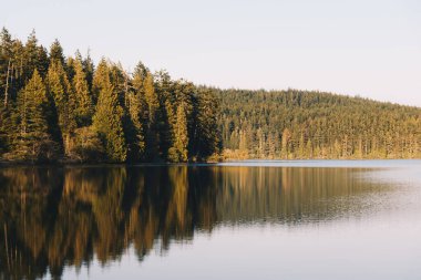 Sakin dağ gölünü çevreleyen Evergreen ormanı