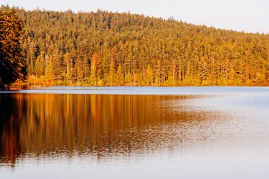 Washington eyaletindeki sakin dağ gölü