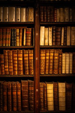 Antwerp, Belgium - Aug 13, 2023 - Ancient books in the dimmed light of a library clipart