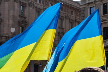 Ukrayna 'nın sarı ve mavi çizgili bayrağı mavi gökyüzü ve güneşle rüzgarda dalgalanıyor..