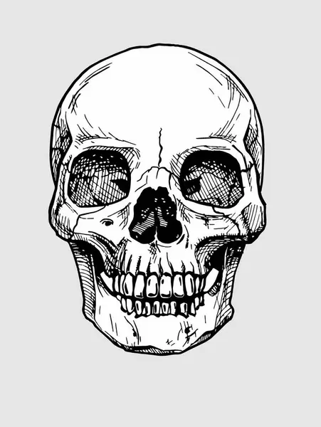 Eski bir vektör çiziminin mankafa. 