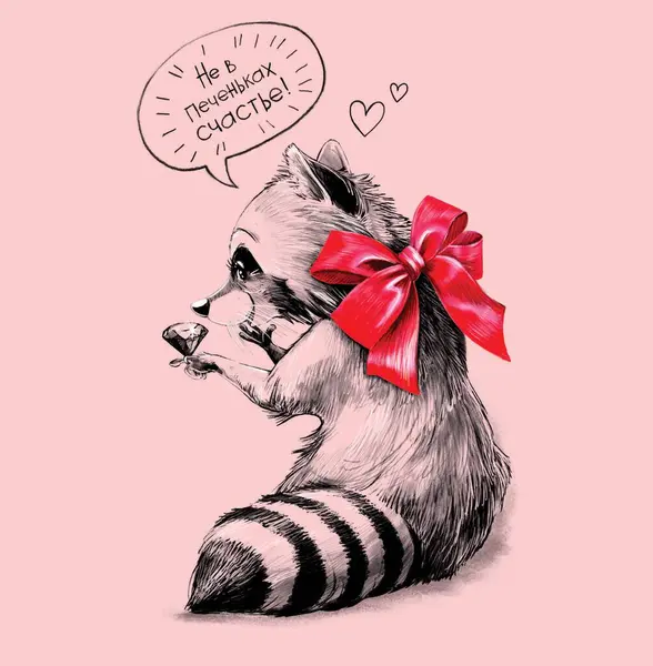 Kırmızı yaylı rakun, elmasın kurabiyeden daha iyi olduğunu düşünüyor. 