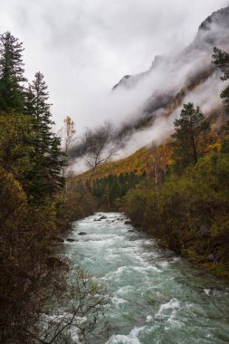 İspanya, Huesca 'daki Ordesa Vadisi' nde sonbahar ağaçları ve sisli dağlarla dolu muazzam bir nehrin dikey görüntüsü.