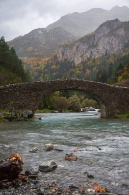 Bujaruelo Vadisi 'nde, sonbaharda, Ordesa' da, Huesca 'da, İspanya' da, dikey