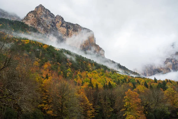 stock image Landscape of mountains with autumn forest with fog, in the Ordesa valley, Huesca, Spain, horizontal