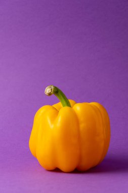 Mor zemin üzerinde sarı dolma biberin yakın plan, dikey, kopyalama alanı ile