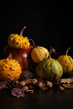 Sonbahar balkabakları, fındıklar, kil çömlek ve yapraklar, siyah arkaplan, kopyalama alanı ile dikey
