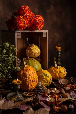 Yapraklı, fındıklı, mumlu ahşap masadaki, kopyalanmış alanla dikey çeşitli balkabaklarını görüntüle