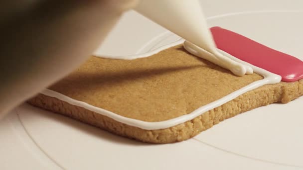 糕点厨师用五颜六色的釉料装饰新年姜饼 — 图库视频影像