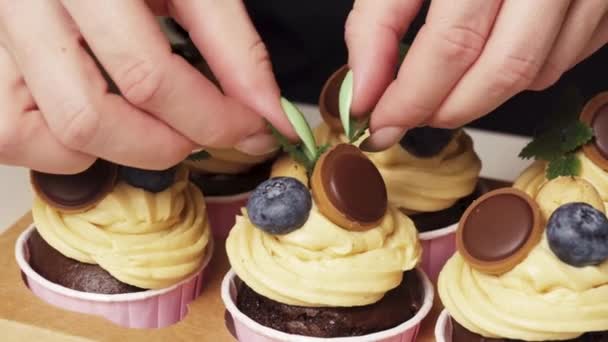 Ajouter Décoration Cupcakes Chocolat Menthe Crème Arachide — Video