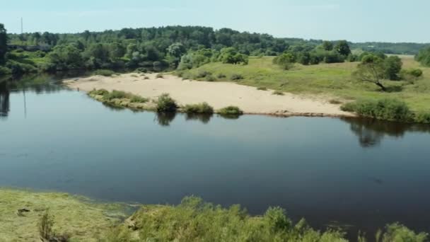 Hava Aracının Videosu Güneşli Yaz Mevsiminde Nehir Boyunca Uzanan Çam — Stok video