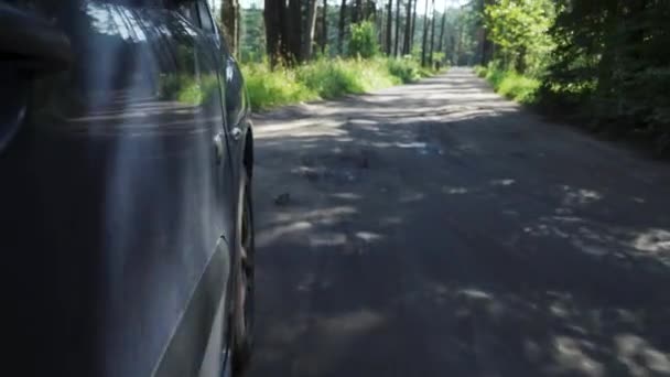 Blick Aus Dem Auto Feldweg Einem Kiefernwald — Stockvideo