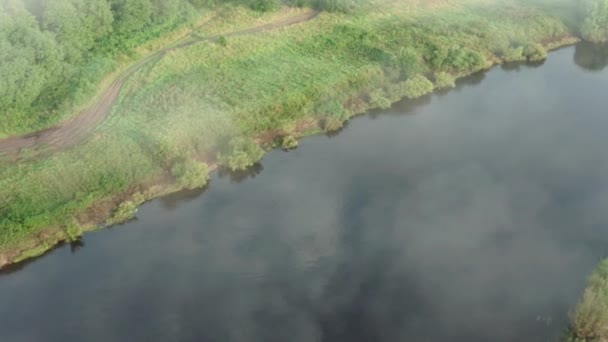 Wideo Drona Mgła Rzece Latem Wschodzie Słońca Sosny Piasek — Wideo stockowe