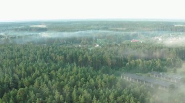 İnsansız hava aracı videosu, çam ormanı ve köyün üzerindeki sis yazın gündoğumunda..
