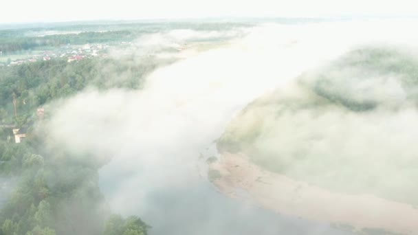 Видео Беспилотника Туман Реке Летом Рассвете Сосновый Лес Реки Песчаный — стоковое видео