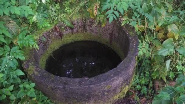 Παλιό Πηγάδι Νερό Πηγής Στο Δάσος Στην Όχθη Του Ποταμού — Αρχείο Βίντεο