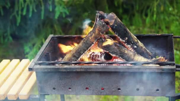 Oparzenia Pożarowe Grillu Zbliżenie Tle Zielonego Świerku — Wideo stockowe