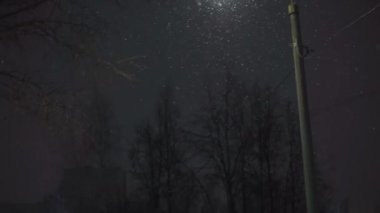 Şehirde kar yağışı, geceleri arka planda bir fener. Gece sokağı.