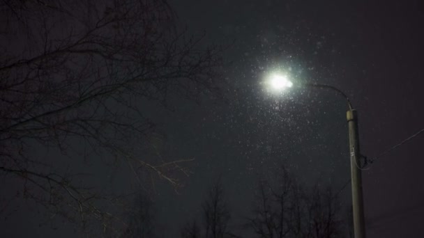 Floresta Neve Cidade Neve Noite Fundo Uma Lanterna Rua Noite — Vídeo de Stock