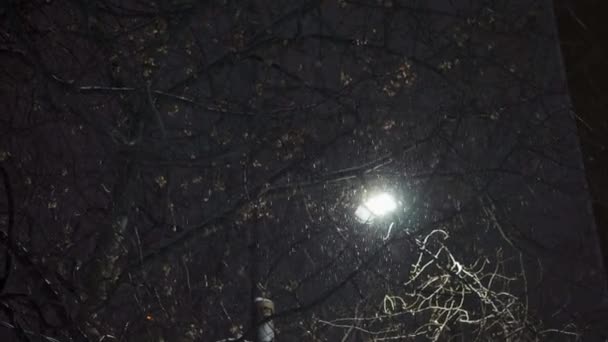 Nevicate Città Neve Notte Sullo Sfondo Una Lanterna Strada Notte — Video Stock