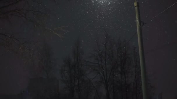 Nevicate Città Neve Notte Sullo Sfondo Una Lanterna Strada Notte — Video Stock