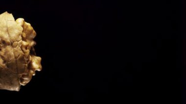 Siyah arka planda yarım ceviz kırılması dönüşümlü. Yakın plan. Hareket halinde.
