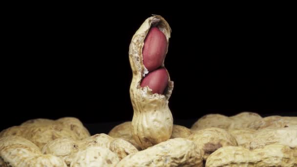 Unvollständig Geschälte Erdnüsse Rotieren Ihren Schalen Eine Streuung Von Erdnüssen — Stockvideo
