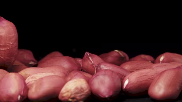 Арахісове Зерно Крутиться Розсіювання Очищених Арахісів Чорному Тлі Русі — стокове відео
