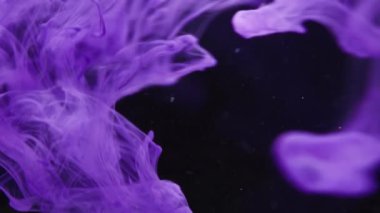 Soyut renk karışımı, suya düşen mürekkep rengi karışımı suya düşen renkli mürekkep, su altında dönen mürekkep sıçraması izole edilmiş su altı girdabı.