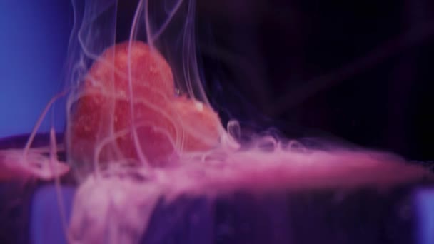 Abstracción Caramelos Forma Corazón Bajo Agua Una Niebla Rosa — Vídeo de stock