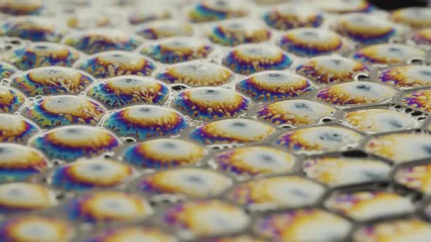 抽象化石鹸泡 泡の上で発射 理想的なハニカム形状 マクロ — ストック動画