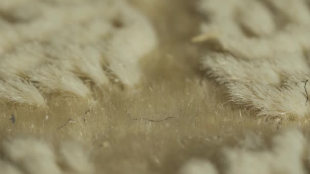 Slide Shot Macro Close Soft White Carpet Thread — Video