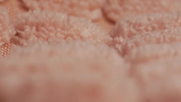 Макро Слайд Шот Пушистый Розовый Мех Клетка — стоковое видео