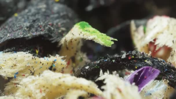 Разноцветная Оболочка Обломки Чистки Карандашей Макросы Вид Сверху Движении — стоковое видео